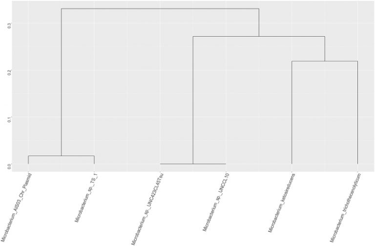 AIOS3 Dendogram 768x503
