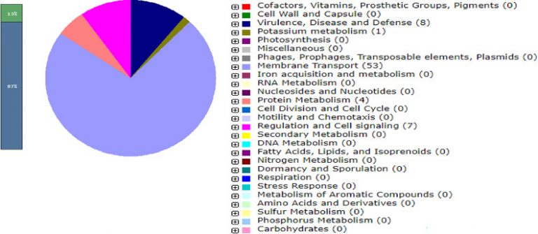 PX02 DistributionPlasmidCoding 768x335