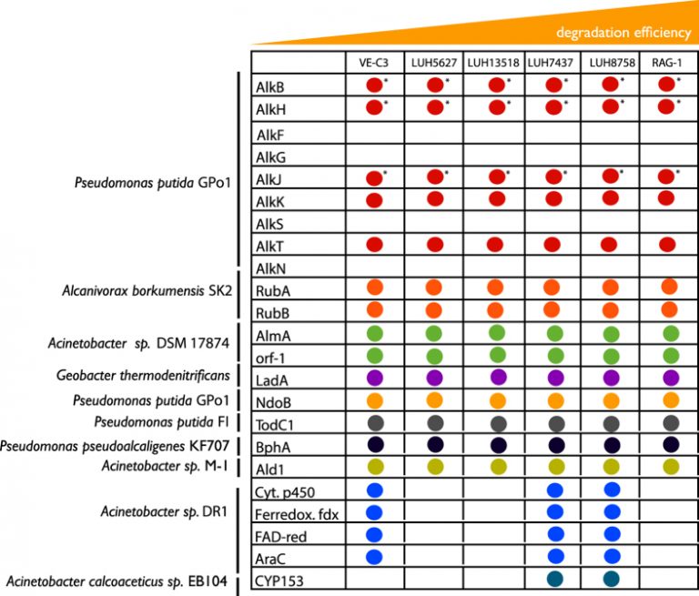 jksf06 alkane degradation 768x655